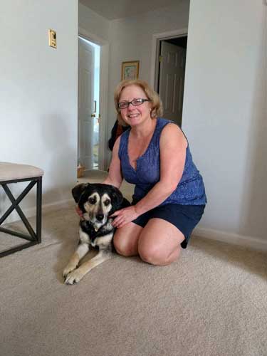 Brandy the Hound / Husky mix recently found her forever home - hooray!