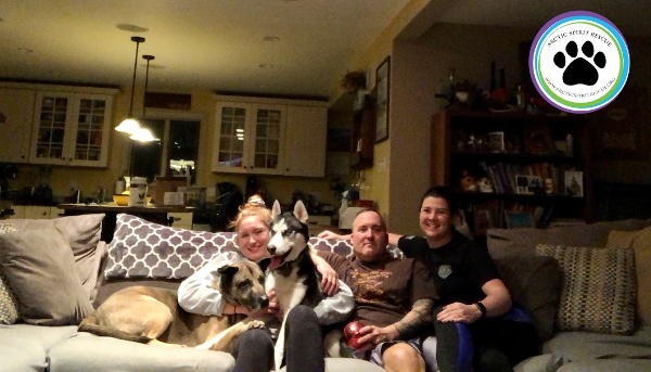 Zee the Siberian Husky found his forever home with his adopted family!