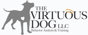 Virtuous Dog Behavior Analysis & Training