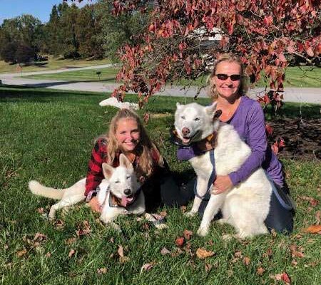 Pearl-Siberian-Husky-Adopted-4