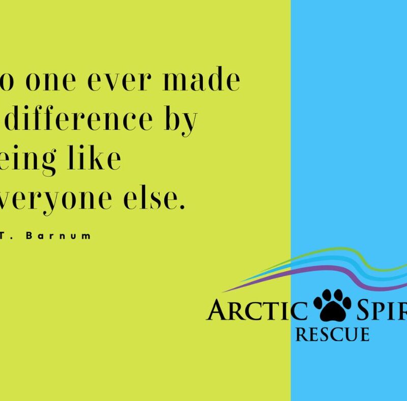 PT Barnum quote: No one ever made a difference by being like everyone else.