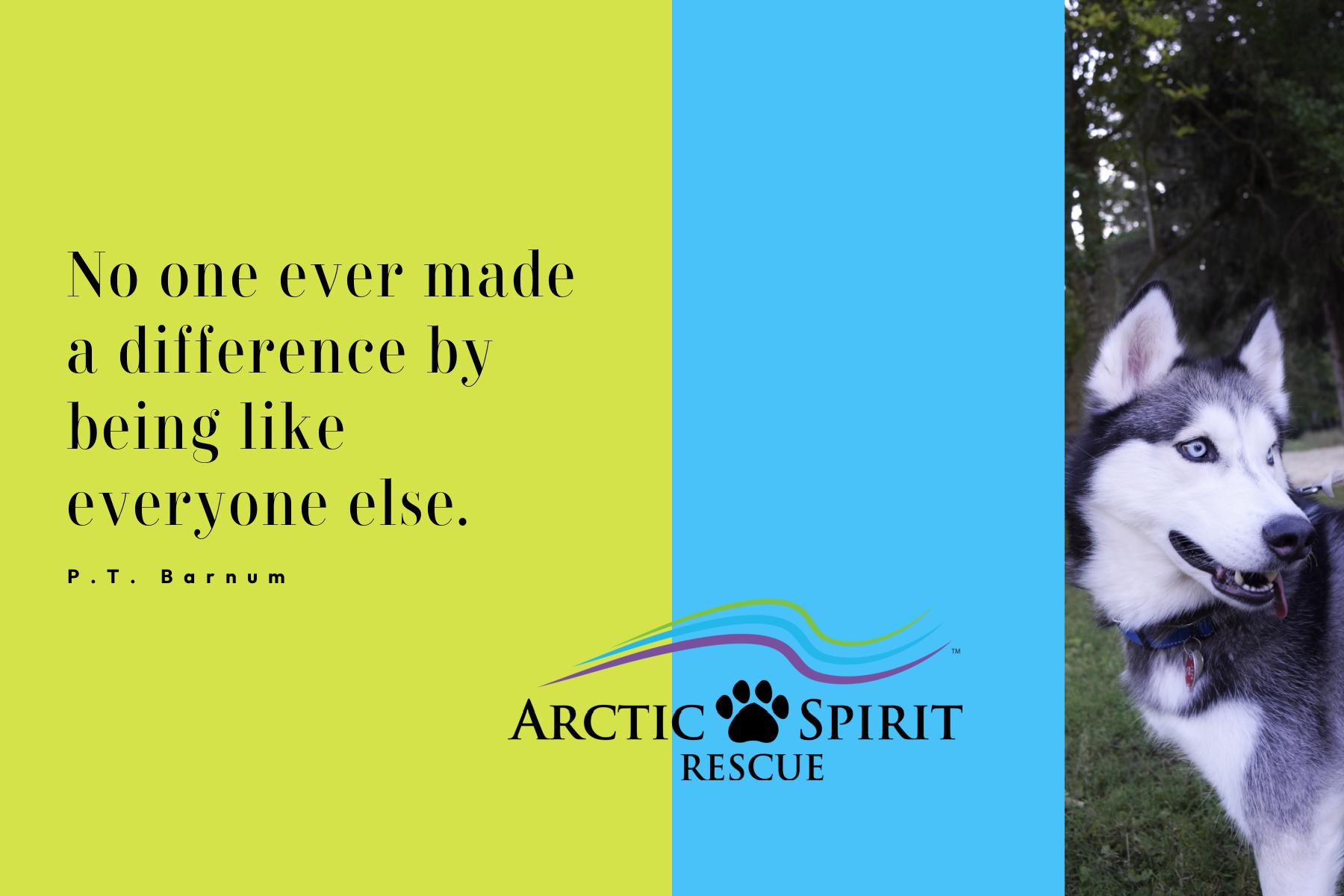 PT Barnum quote: No one ever made a difference by being like everyone else.